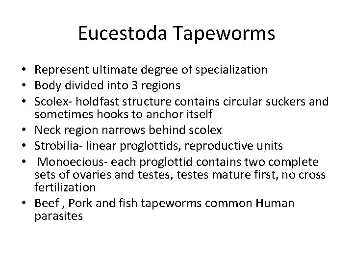 Eucestoda Tapeworms • Represent ultimate degree of specialization • Body divided into 3 regions