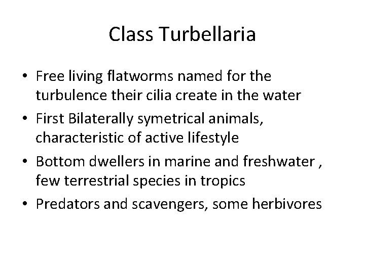 Class Turbellaria • Free living flatworms named for the turbulence their cilia create in