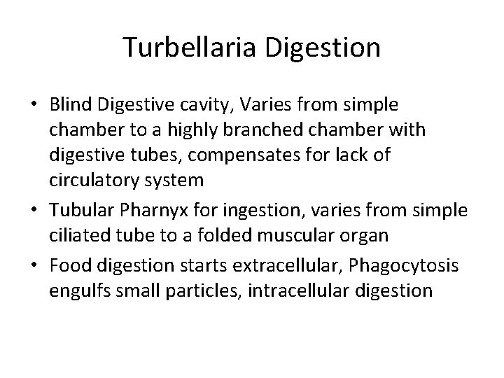 Turbellaria Digestion • Blind Digestive cavity, Varies from simple chamber to a highly branched