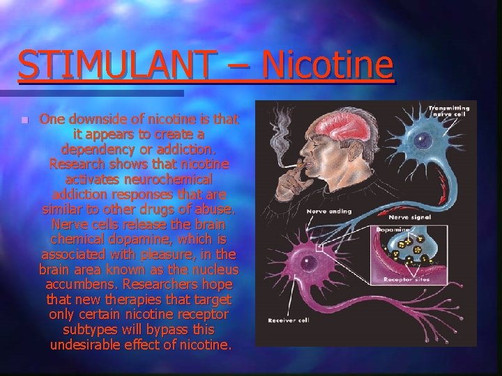 STIMULANT – Nicotine n One downside of nicotine is that it appears to create