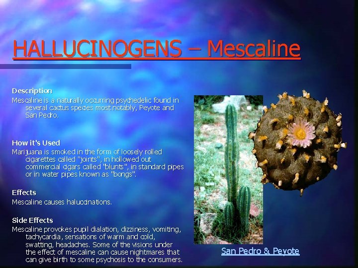 HALLUCINOGENS – Mescaline Description Mescaline is a naturally occurring psychedelic found in several cactus