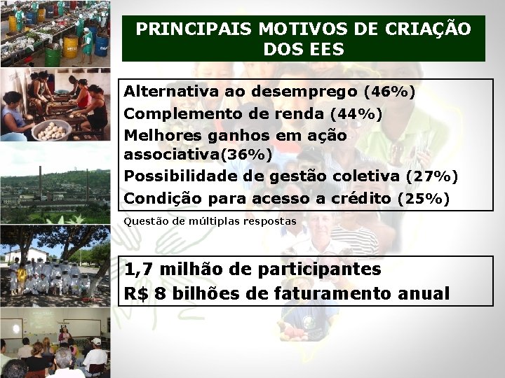 PRINCIPAIS MOTIVOS DE CRIAÇÃO DOS EES Alternativa ao desemprego (46%) Complemento de renda (44%)