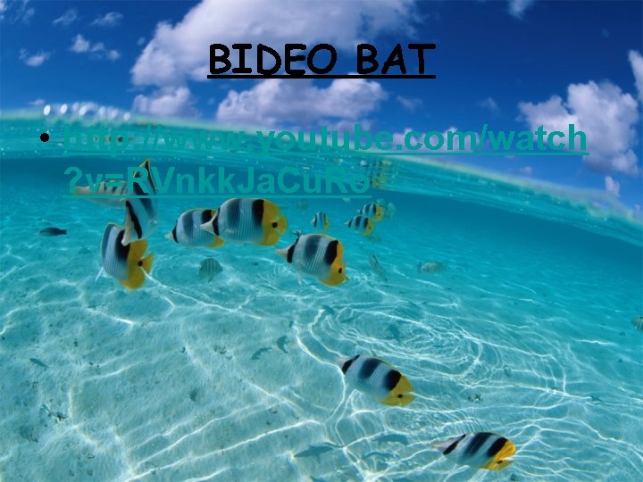 BIDEO BAT • http: //www. youtube. com/watch ? v=RVnkk. Ja. Cu. Ro 