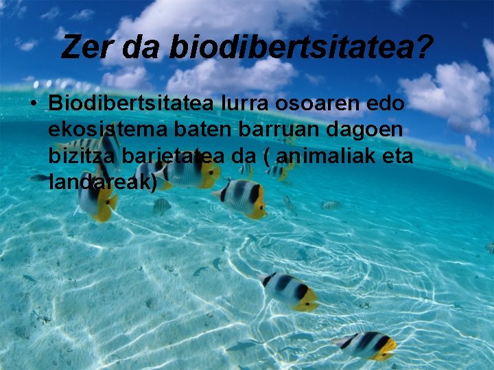 Zer da biodibertsitatea? • Biodibertsitatea lurra osoaren edo ekosistema baten barruan dagoen bizitza barietatea