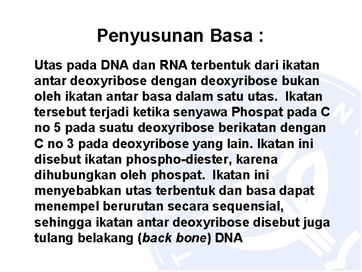 Penyusunan Basa : Utas pada DNA dan RNA terbentuk dari ikatan antar deoxyribose dengan