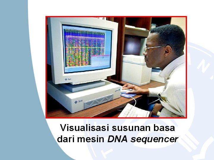 Visualisasi susunan basa dari mesin DNA sequencer 