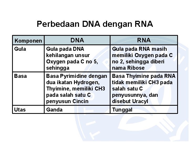 Perbedaan DNA dengan RNA DNA Komponen RNA Gula pada DNA kehilangan unsur Oxygen pada