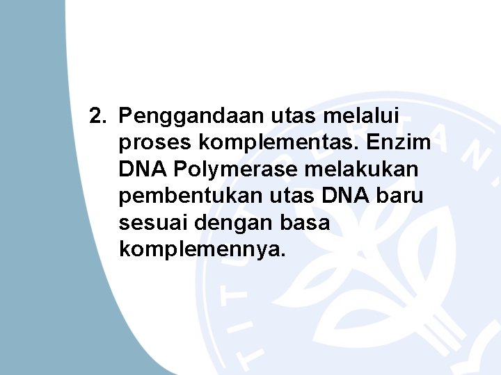 2. Penggandaan utas melalui proses komplementas. Enzim DNA Polymerase melakukan pembentukan utas DNA baru