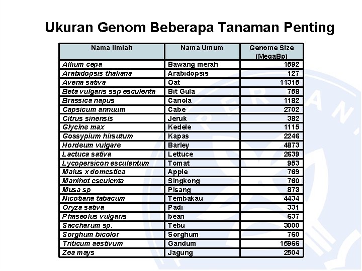 Ukuran Genom Beberapa Tanaman Penting Nama Ilmiah Allium cepa Arabidopsis thaliana Avena sativa Beta