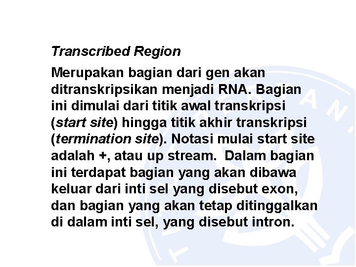 Transcribed Region Merupakan bagian dari gen akan ditranskripsikan menjadi RNA. Bagian ini dimulai dari