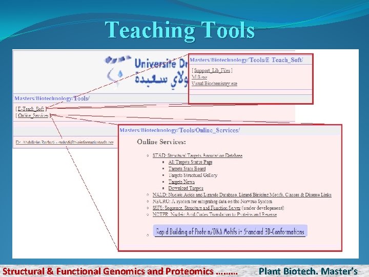Teaching Tools Structural & Functional Genomics and Proteomics ……… Plant Biotech. Master’s 