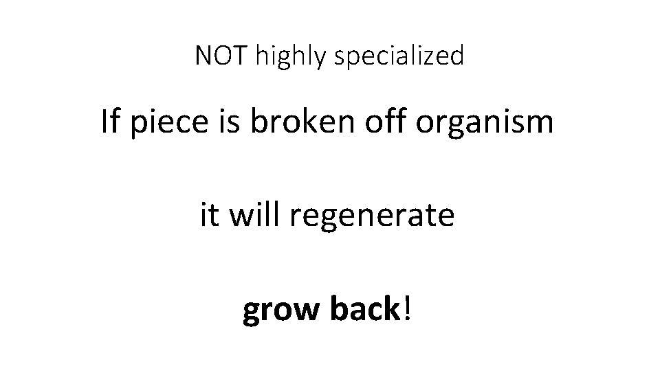 NOT highly specialized If piece is broken off organism it will regenerate grow back!