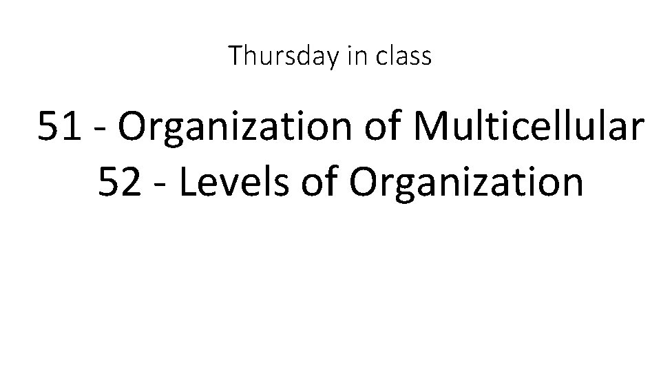 Thursday in class 51 - Organization of Multicellular 52 - Levels of Organization 