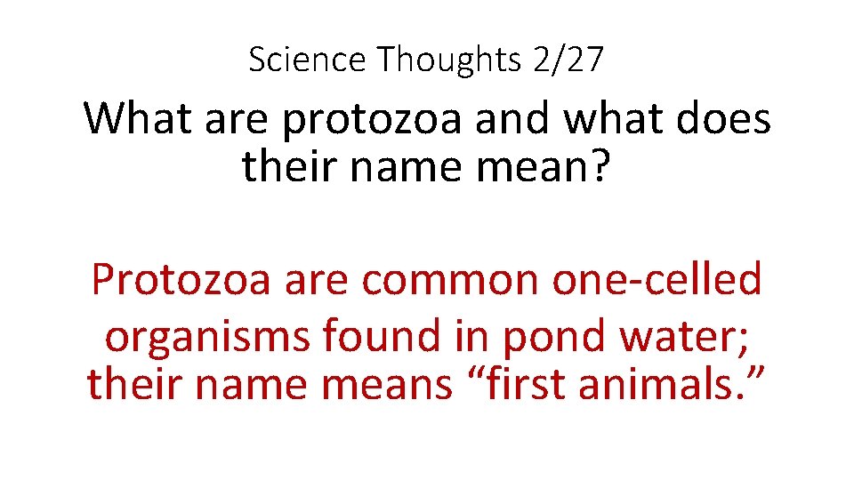 Science Thoughts 2/27 What are protozoa and what does their name mean? Protozoa are