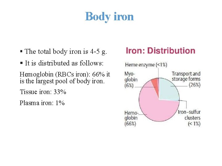 Body iron § The total body iron is 4 -5 g. § It is