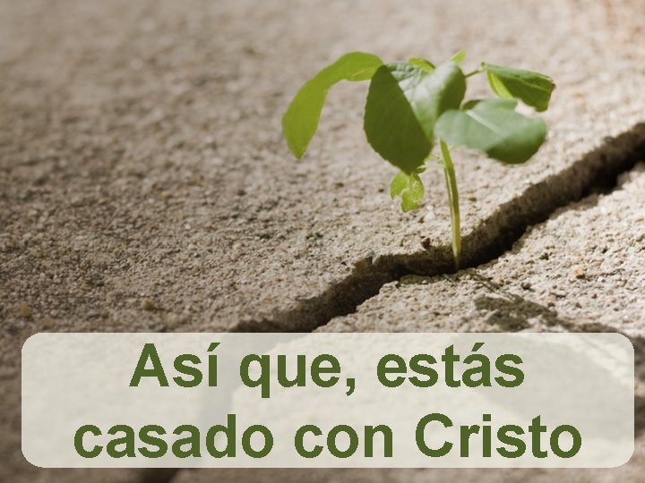 Así que, estás casado con Cristo 