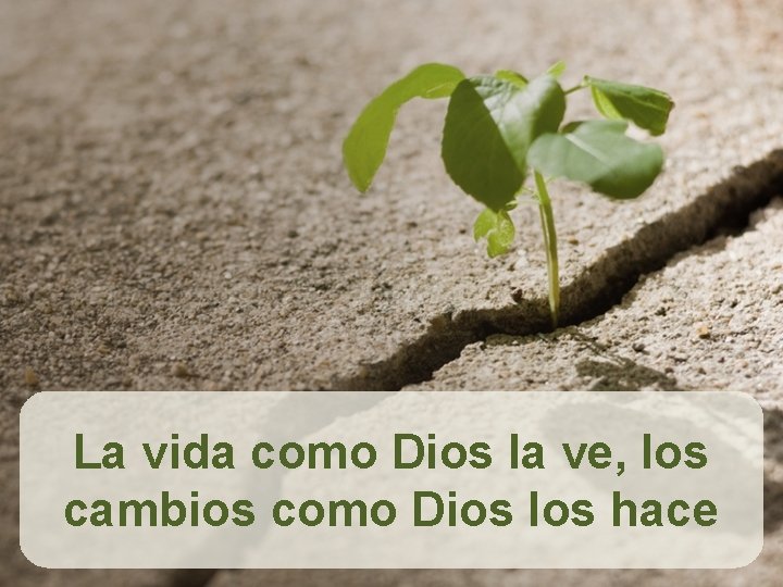 La vida como Dios la ve, los cambios como Dios los hace 