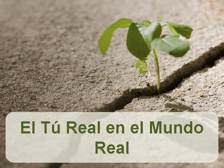 El Tú Real en el Mundo Real 