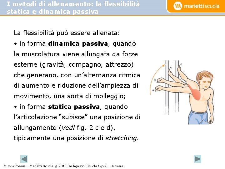 I metodi di allenamento: la flessibilità statica e dinamica passiva La flessibilità può essere