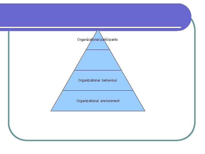 Organizational participants Organizational behaviour Organizational environment 