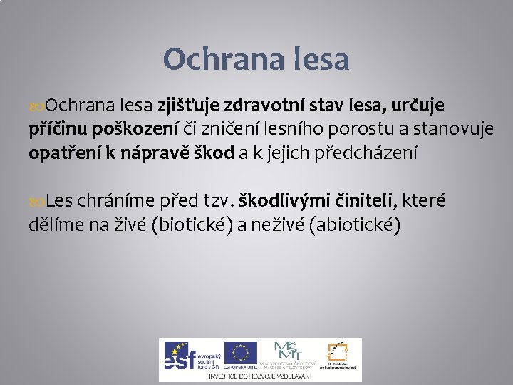 Ochrana lesa zjišťuje zdravotní stav lesa, určuje příčinu poškození či zničení lesního porostu a