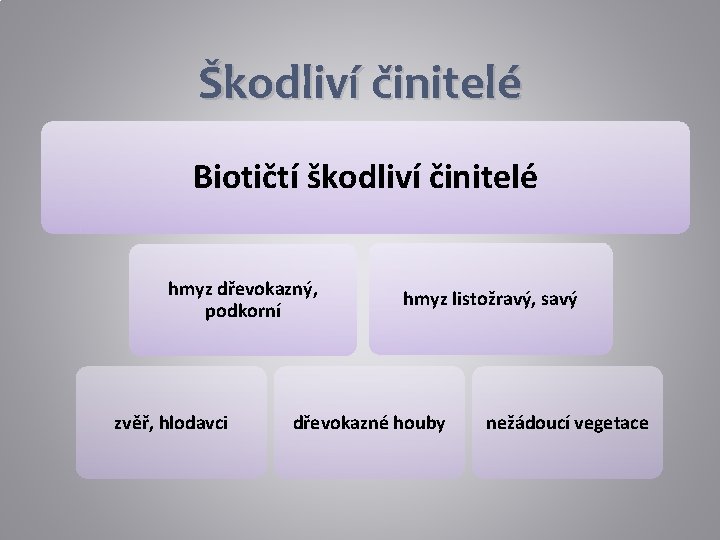 Škodliví činitelé Biotičtí škodliví činitelé hmyz dřevokazný, podkorní zvěř, hlodavci hmyz listožravý, savý dřevokazné