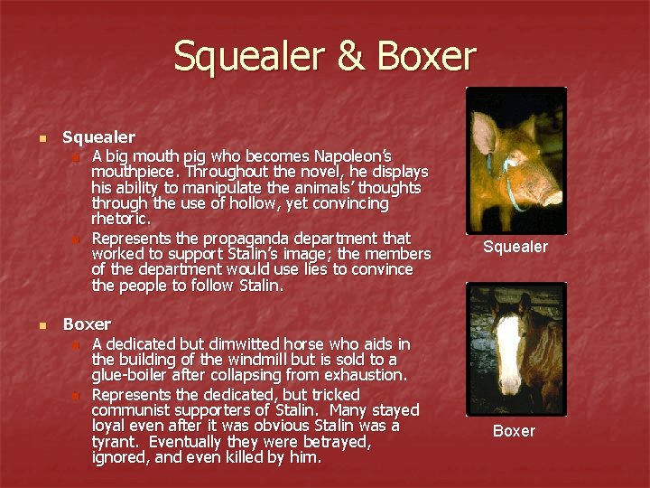 Squealer & Boxer n n Squealer n A big mouth pig who becomes Napoleon’s Squealer & Boxer n n Squealer n A big mouth pig who becomes Napoleon’s