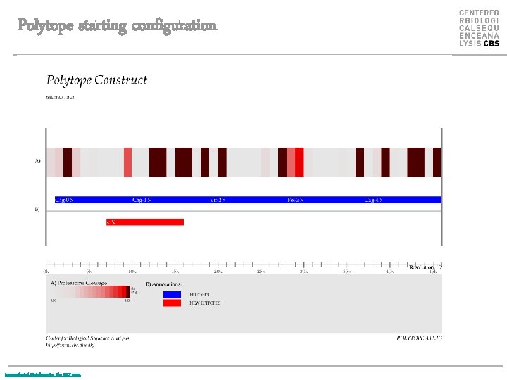 Polytope starting configuration Immunological Bioinformatics, The MIT press. 