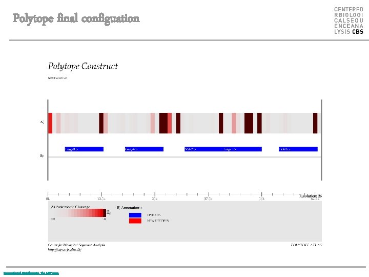 Polytope final configuation Immunological Bioinformatics, The MIT press. 