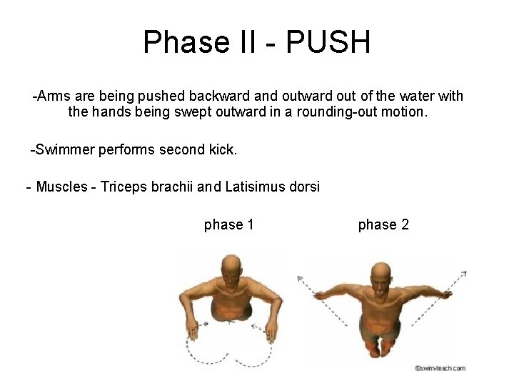 Phase II - PUSH -Arms are being pushed backward and outward out of the