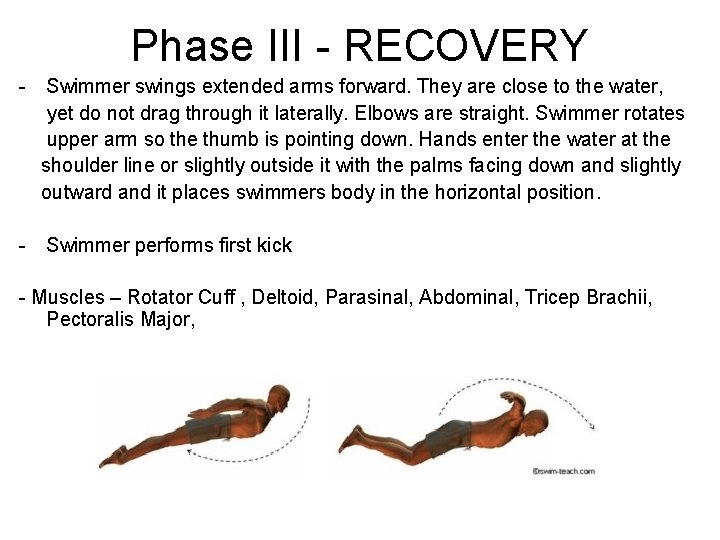 Phase III - RECOVERY - Swimmer swings extended arms forward. They are close to