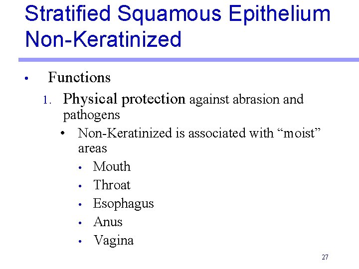 Stratified Squamous Epithelium Non-Keratinized • Functions 1. Physical protection against abrasion and pathogens •