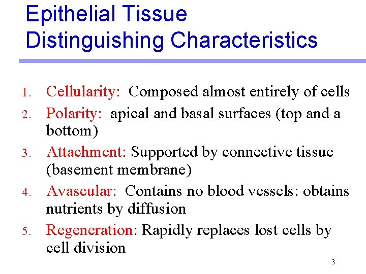 Epithelial Tissue Distinguishing Characteristics 1. 2. 3. 4. 5. Cellularity: Composed almost entirely of