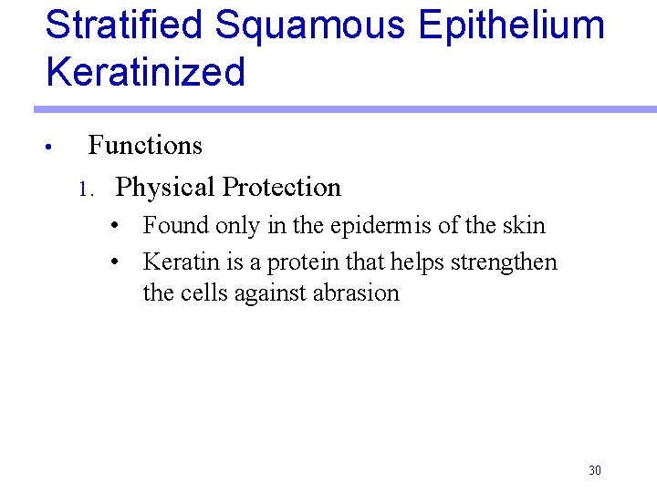 Stratified Squamous Epithelium Keratinized • Functions 1. Physical Protection • Found only in the
