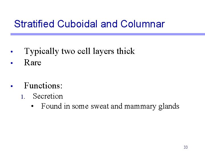 Stratified Cuboidal and Columnar • Typically two cell layers thick Rare • Functions: •