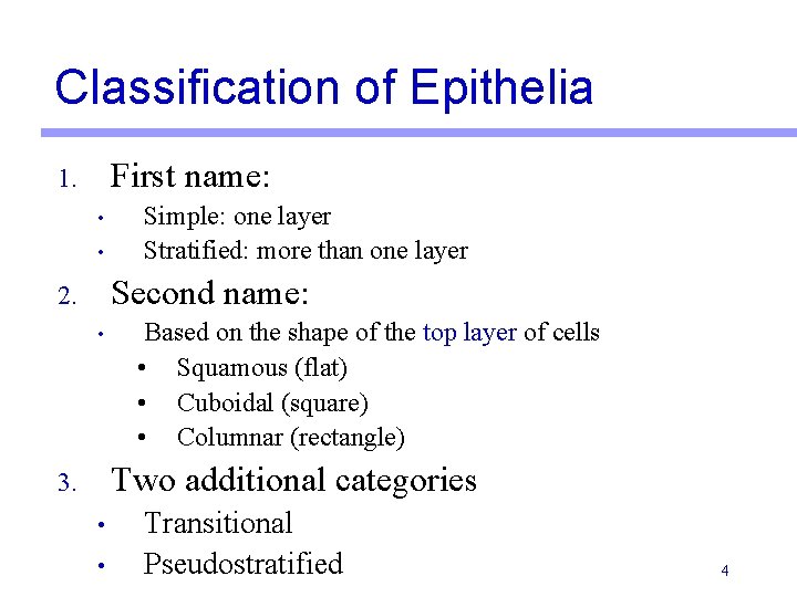 Classification of Epithelia First name: 1. • • Simple: one layer Stratified: more than