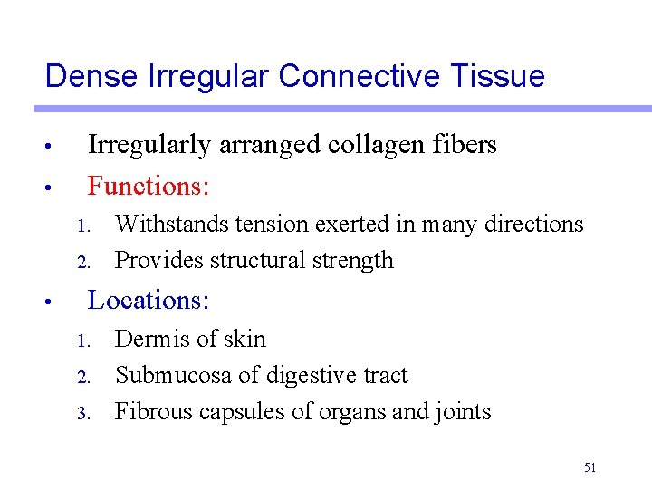 Dense Irregular Connective Tissue • • Irregularly arranged collagen fibers Functions: 1. 2. •