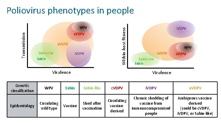 Transmission WPV c. VDPV a. VDPV Sabin-like i. VDPV Sabin Within-host fitness Poliovirus phenotypes