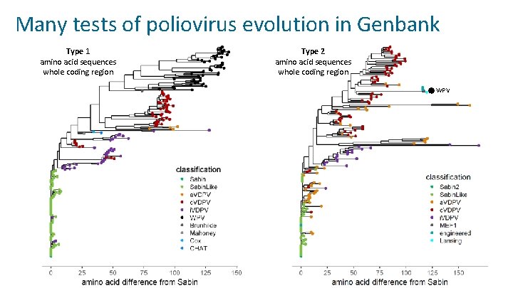 Many tests of poliovirus evolution in Genbank Type 1 amino acid sequences whole coding