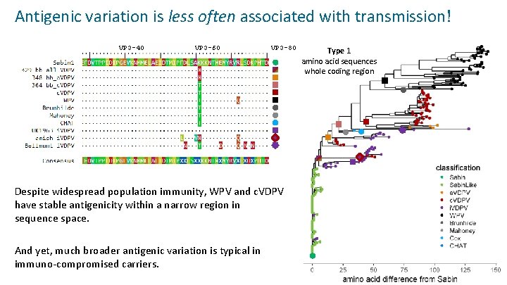 Antigenic variation is less often associated with transmission! VP 3 -40 VP 3 -60