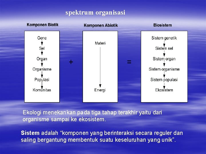 spektrum organisasi Ekologi menekankan pada tiga tahap terakhir yaitu dari organisme sampai ke ekosistem.