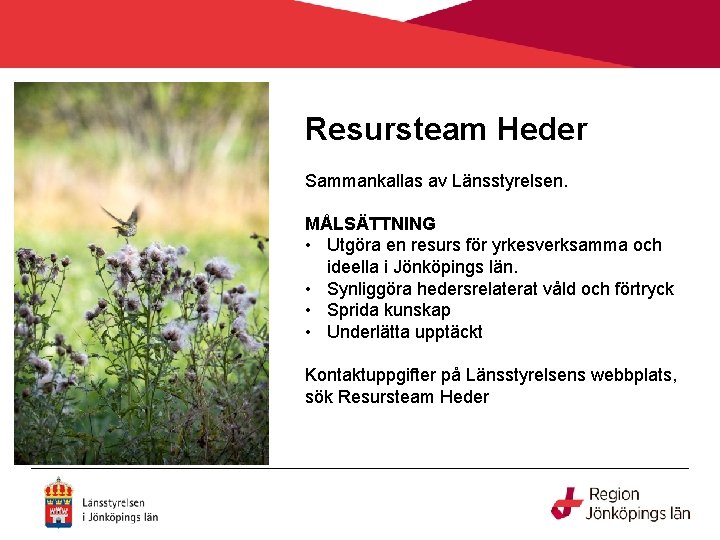 Resursteam Heder Sammankallas av Länsstyrelsen. MÅLSÄTTNING • Utgöra en resurs för yrkesverksamma och ideella