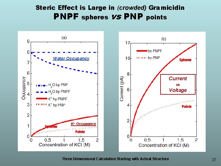 Steric Effect is Large in (crowded) Gramicidin PNPF spheres vs PNP points Water Occupancy