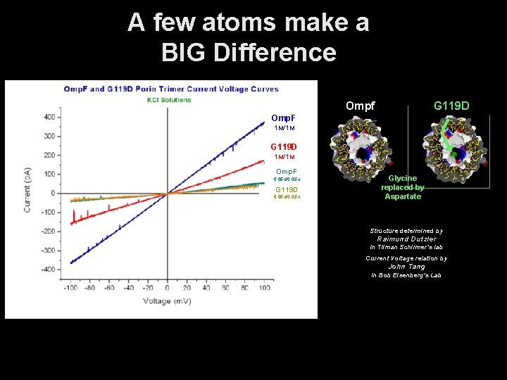 A few atoms make a BIG Difference Ompf G 119 D Omp. F 1