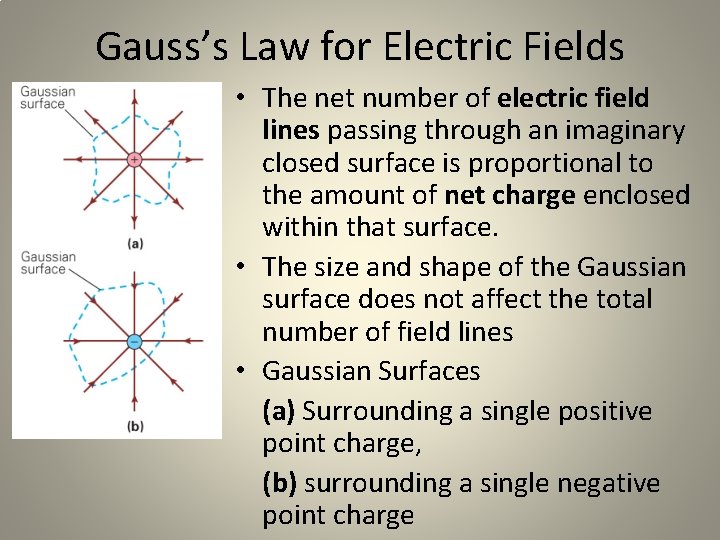 Gauss’s Law for Electric Fields • The net number of electric field lines passing