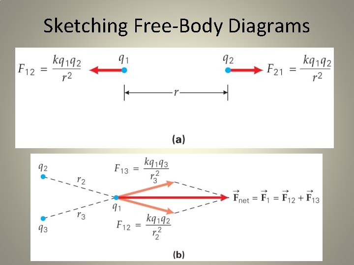 Sketching Free-Body Diagrams 