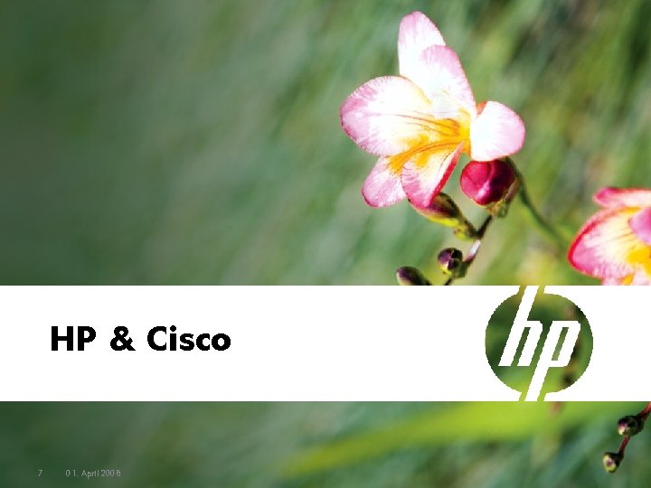 HP & Cisco 7 01. April 2008 