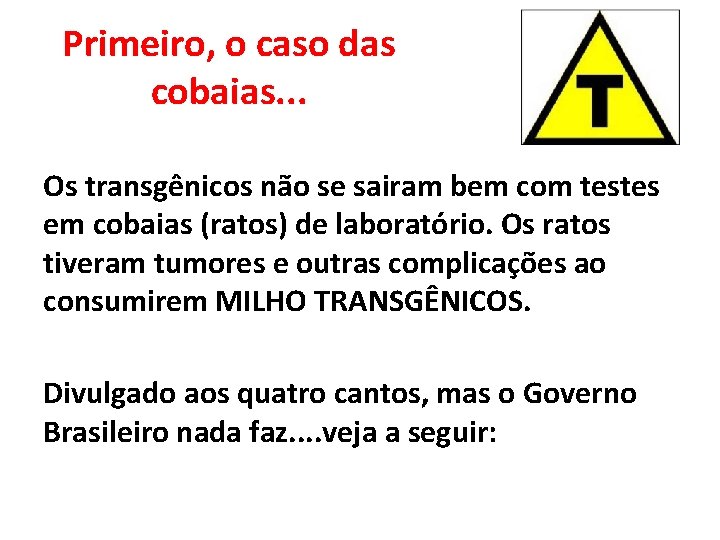 Primeiro, o caso das cobaias. . . Os transgênicos não se sairam bem com