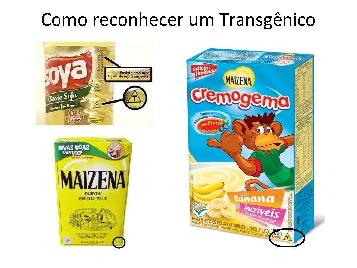 Como reconhecer um Transgênico 