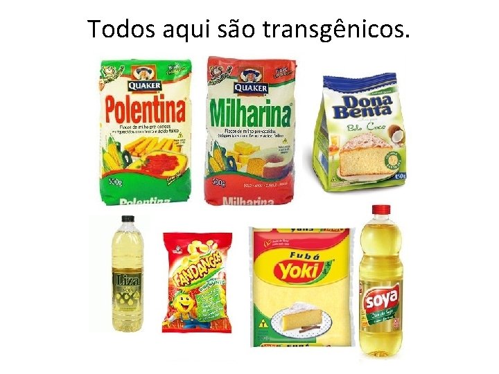 Todos aqui são transgênicos. 